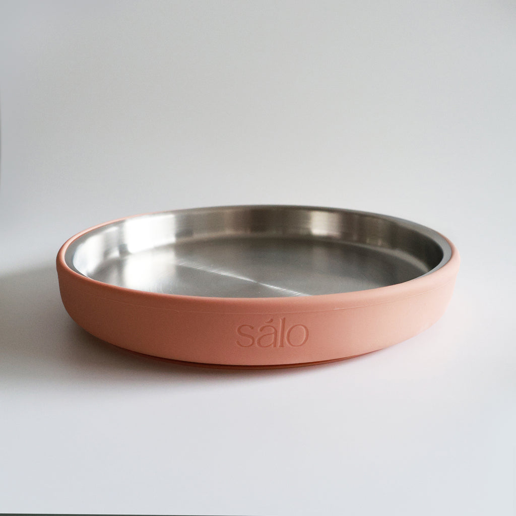Stainless Steel Plate with Silicone Suction Sleeve